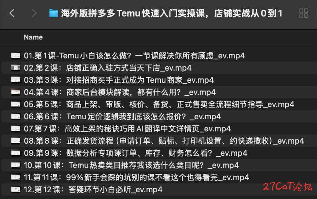 海外版拼多多Temu快速入门实操课，店铺实战从0到1.jpg